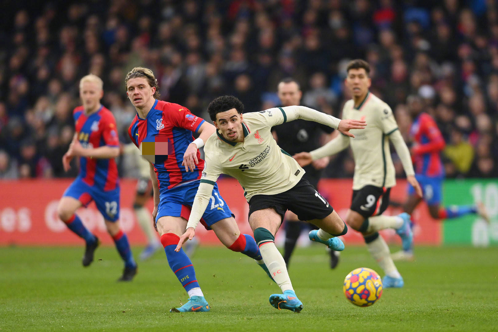 你会看到当 你会看到当